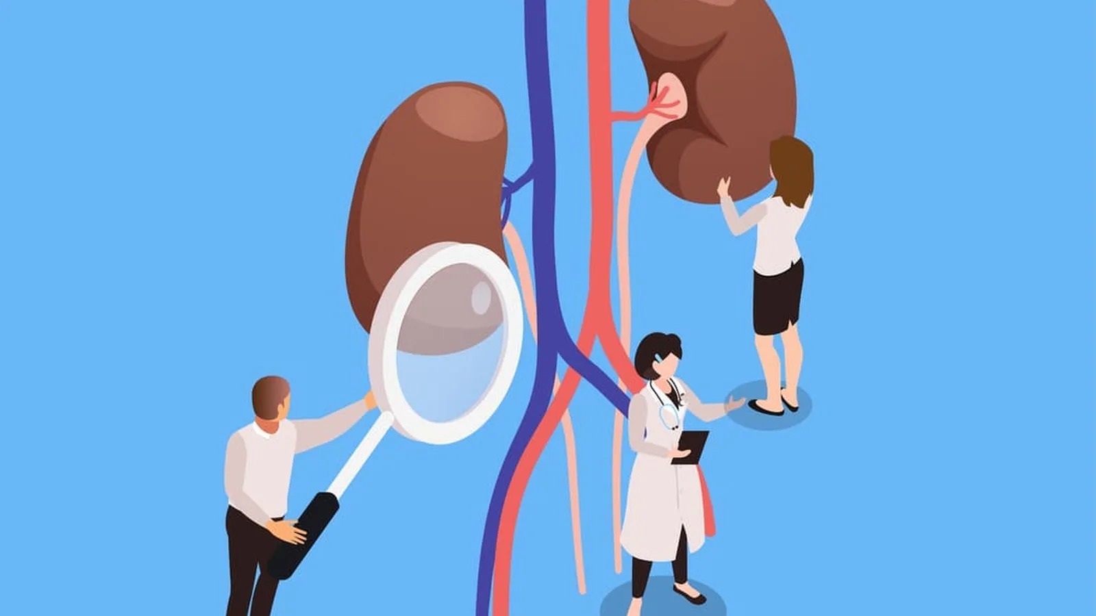 ¿Qué especialista trata la enfermedad poliquística renal?