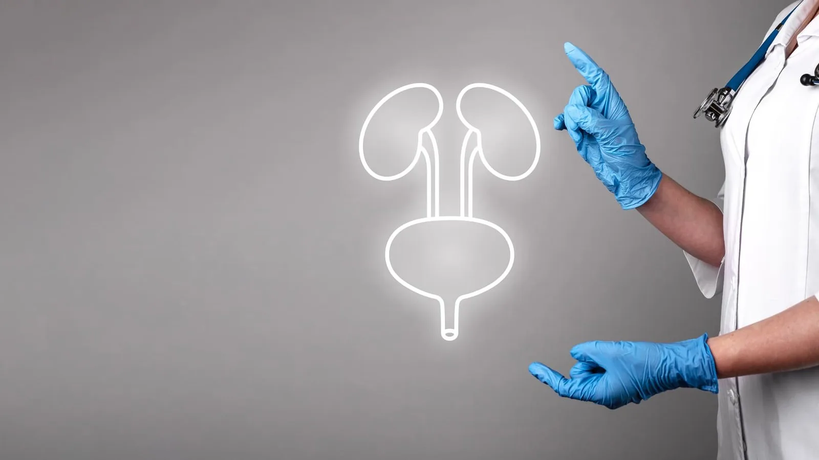 ¿Qué especialista trata la enfermedad renal crónica?