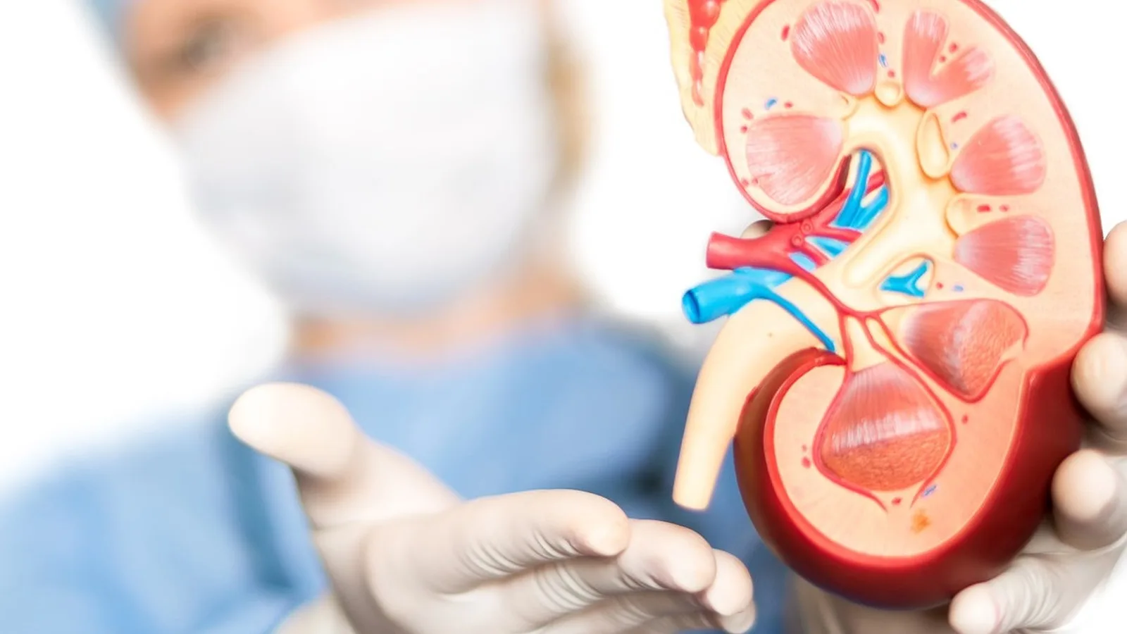 ¿Qué especialista trata la hiponatremia?
