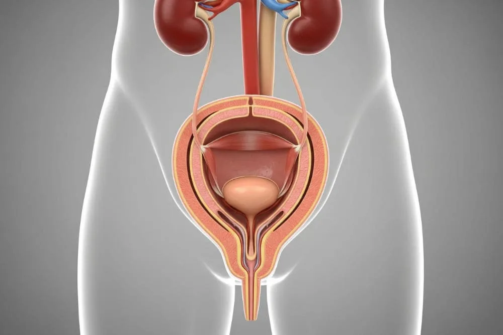 Insuficiencia renal crónica en CDMX: Control integral y nefroprotección
